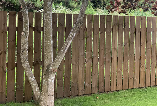 Vertical Style Fencing